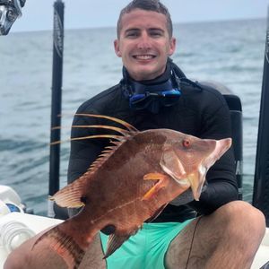 Meet your Posher, Ryan